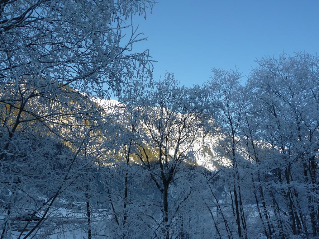 Appartement Strolz Schnann ภายนอก รูปภาพ